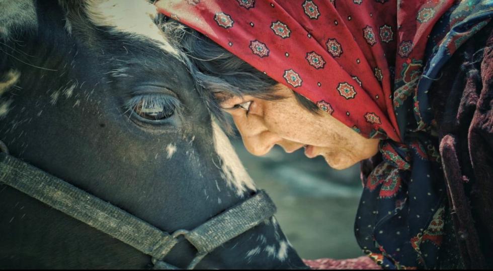 فیلم سینمایی «بی همه چیز» از روز پنجشنبه در سینماهای اقلیم کردستان عراق اکران می‌شود + تصاویر