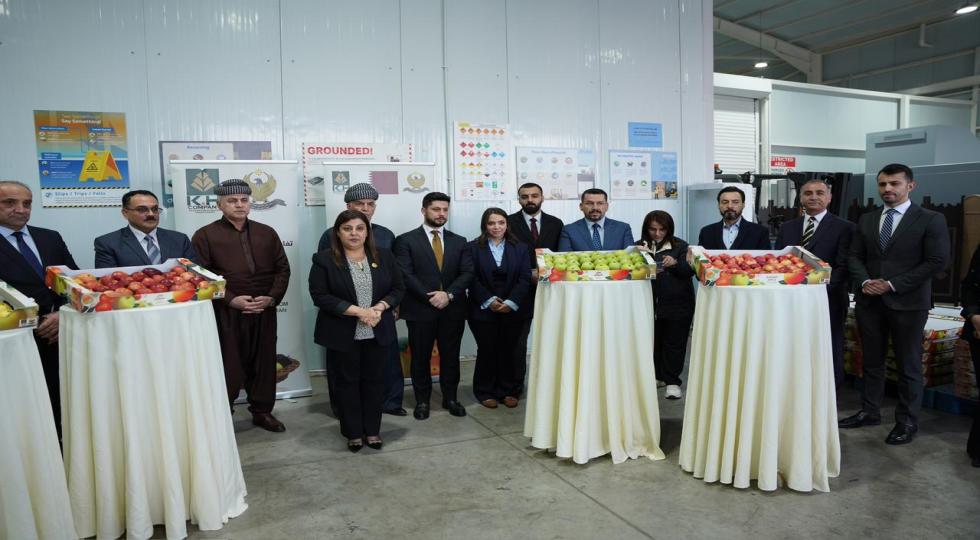 با هدف متنوع سازی منابع درآمدی؛ صادرات نخستین محموله سیب اقلیم کردستان