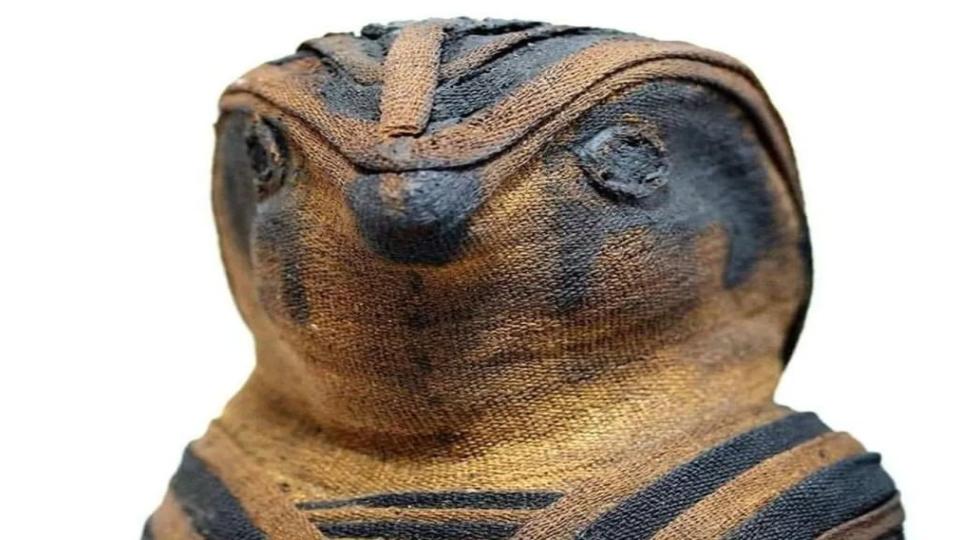 تصاویری جذاب از مومیایی حیوانات در مصر باستان