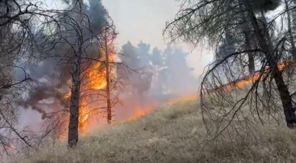 وردەکاری رووداوی ئاگرکەی شاخی گۆیژە