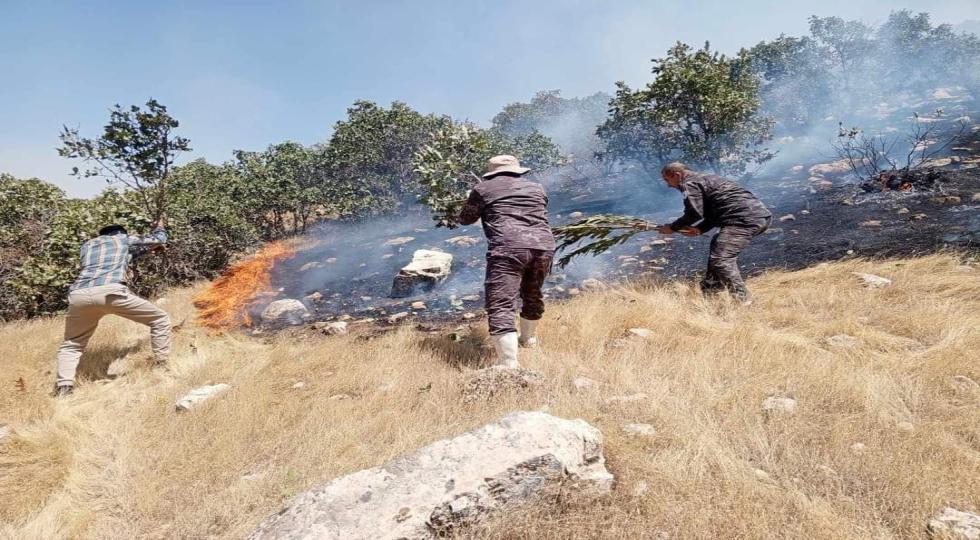  بە هۆکارێکی نادیار ئاگرێکی فراوان لە سنوری گوندەکانی چنارە و میرەدێ لە شارەزور کەوتەوە