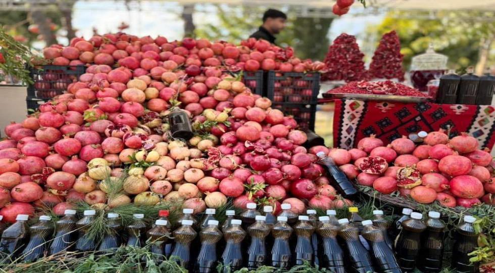 گەشتوگوزارى هەڵەبجە: ژمارەیەکی زۆر گەشتیار و سەردانیکەر، سەردانی فستیڤاڵی هەناریان کردووە