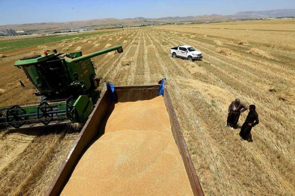 چی وایكرد ئەمساڵ جوتیاران كێشەی نرخ و ساغكردنەوەی بەرهەمەكانیان نەبێت؟