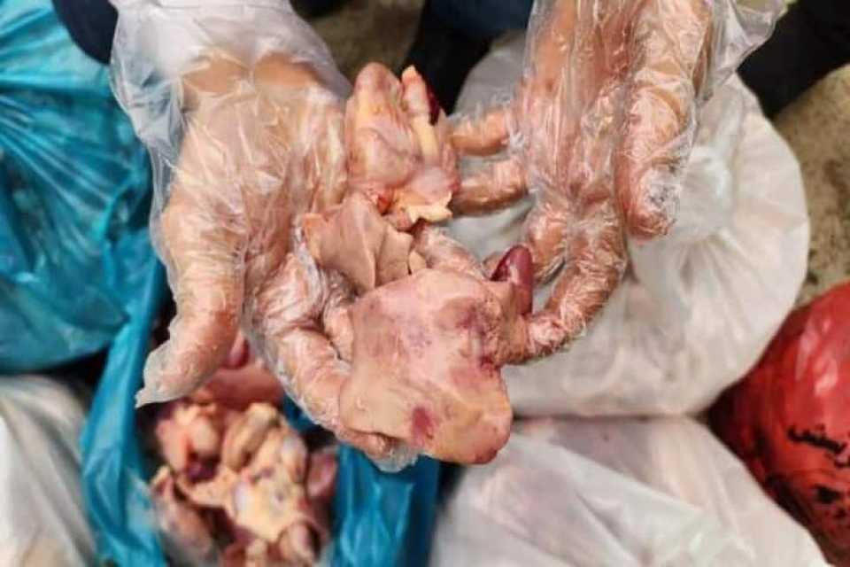 لەبازگەی زەمەقی هەڵەبجە دەستگیرا بەسەر 150 کیلۆگرام گۆشت