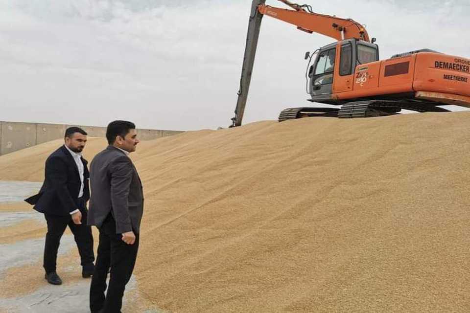 بڕی دیاریکراوی گەنمی جوتیارانی گەرمیان و هەڵەبجە کەم کراوەتەوە 