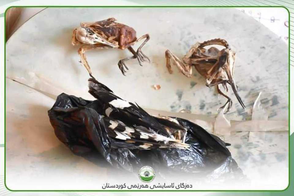 دەزگای ئاسایشی هەرێمی دەستگیرکردنی باندێکی جادوگەر و ماددەی هۆشبەر لە چەمچەماڵ ڕادەگەیەنێت 