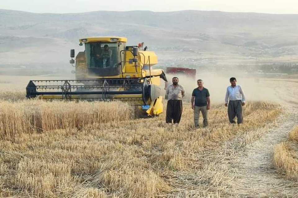 زانكۆی سلێمانی: كۆلیژی كشتوكاڵ سەدان تۆن گەنم و جۆی كوالێتی باش بەرهەم دەهێنێت