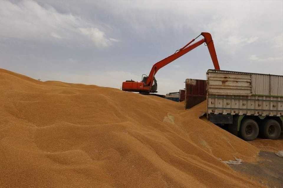 دەست بە وەرگرتنی گەنمی جوتیاران كرا