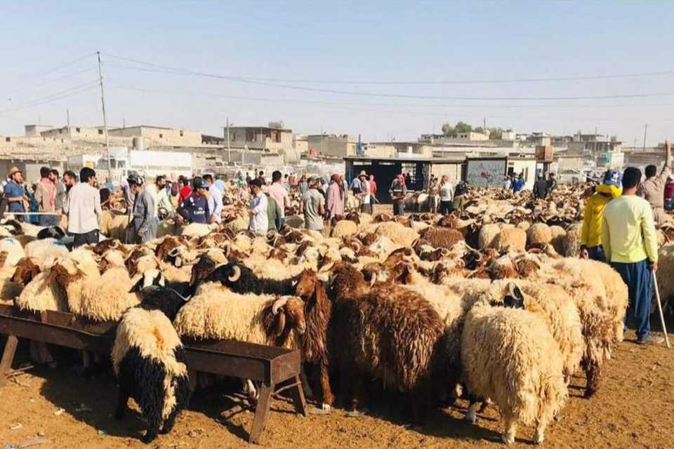 بۆقوربانیکردن چەند بڕیارێک دەرکران