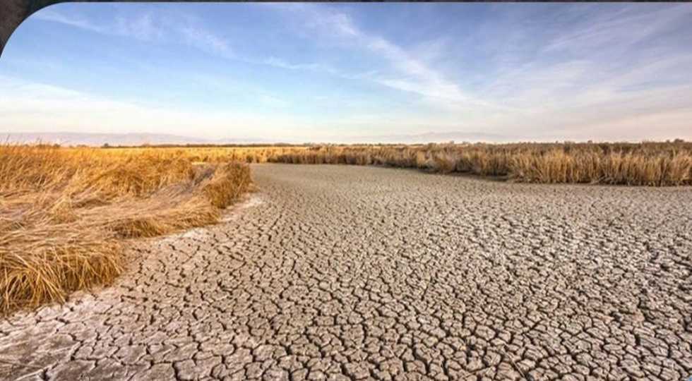 بەهۆی وشکەساڵییەوە نزیكەی 500هەزار خێزانی عێراقی لەژێرهەڕەشەی لەدەستدانی سەرچاوەی بژێوی ژیانیاندان