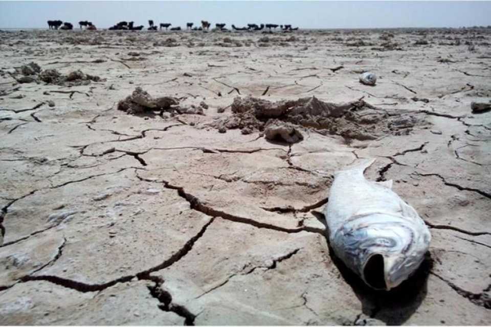 اتهام عراق بە ترکیە و ایران در خصوص سهمابه