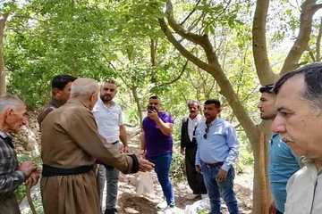 وەزارەتی کشتوکاڵ: لێكۆڵینە‌وە‌ بۆ چارسە‌ركردنی نە‌خۆشی دارگوێز دە‌كرێت + وێنە