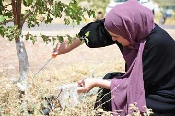 هەورامان: هەڵمەتی بۆیاخکردنی قەدی زیاتر لەهەزار نەمام بەڕێوەچوو