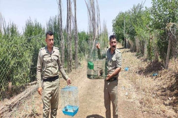 لـەسنوری ناحیەی بەرزنجە ٢ هاوڵاتی  دەستگیرکران  