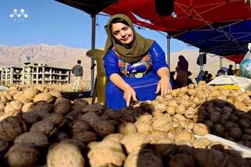 بە وێنە؛ نمایشگای گوێزی هەورامان دەستی پێکرد