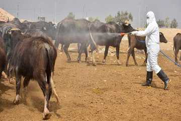 بۆ ڕێگریكردن لە تای خوێنبەربوون چەند رێکارێک لە هەرێم ڕاگەیەندرا