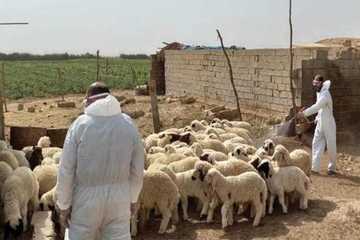 تووشبووەكانی تای خوێنبەربوون لە هەرێمی كوردستان چاكبوونەوە